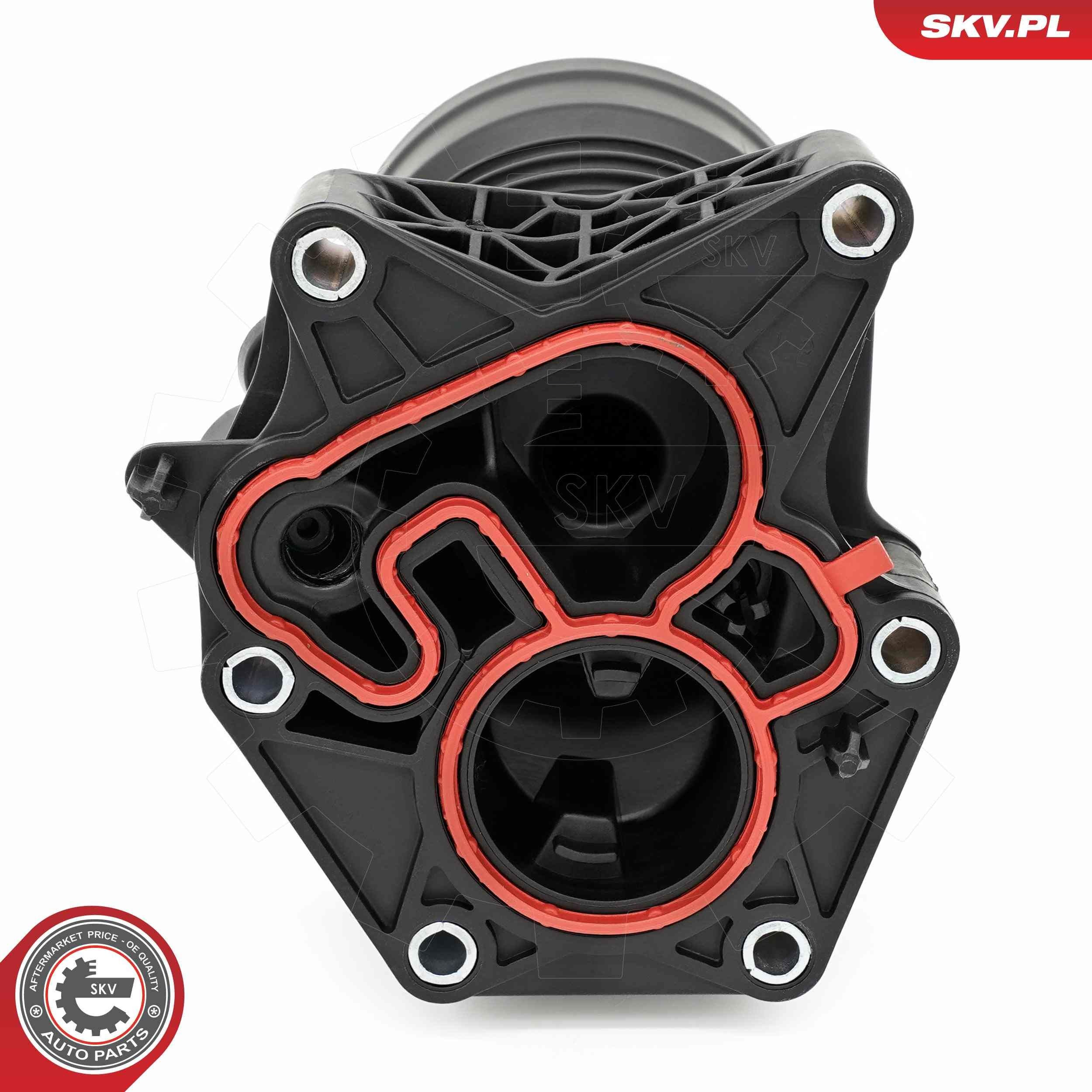 31SKV436 SKV
